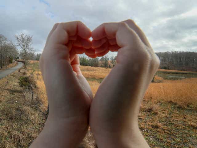 What Is Love?