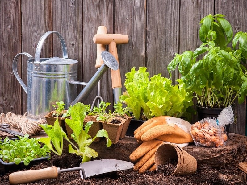 All about Gardening Tools