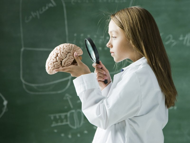 Brain Training for Healthy Aging