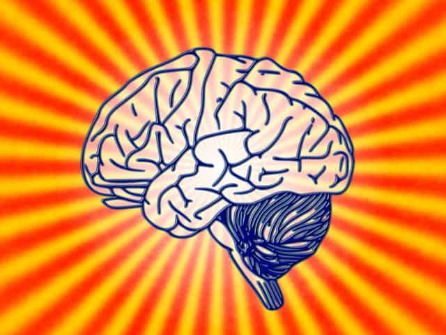 Required to Be Right-Brained