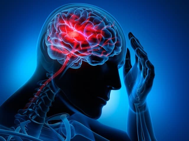 Brain for Peak Performance